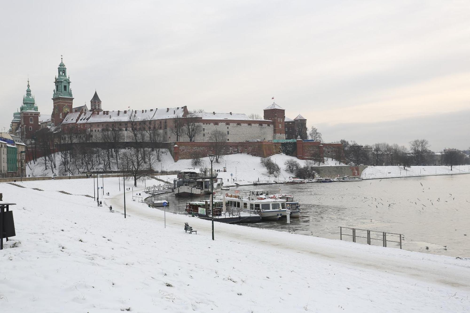 Zwierzyniecka Lofts With Patio, Cracow City Heart Old Town Cracovie Extérieur photo